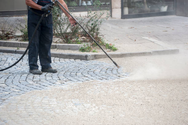 Best Rust Removal  in South Beloit, IL